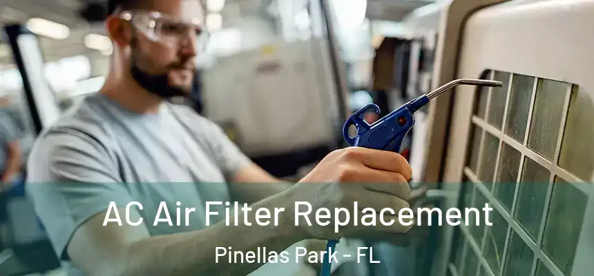  AC Air Filter Replacement Pinellas Park - FL