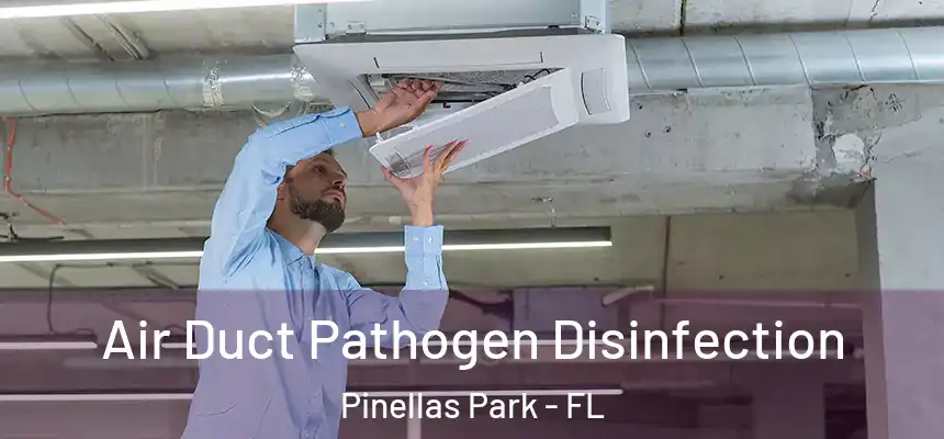 Air Duct Pathogen Disinfection Pinellas Park - FL