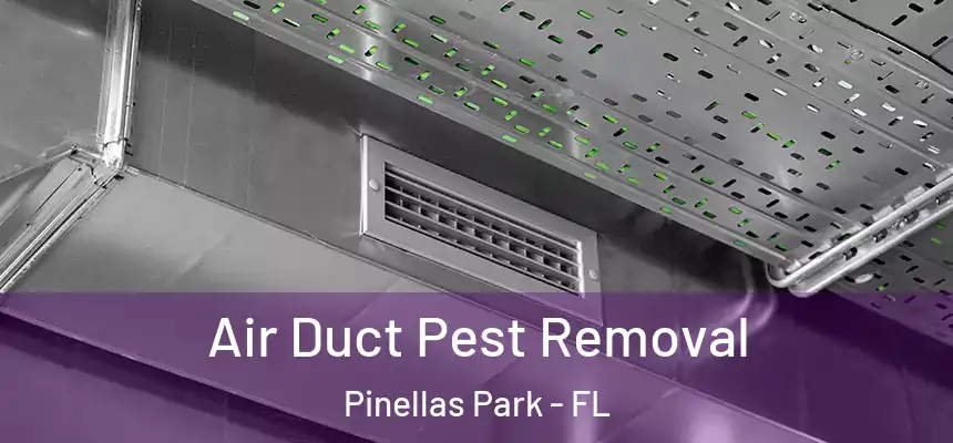Air Duct Pest Removal Pinellas Park - FL