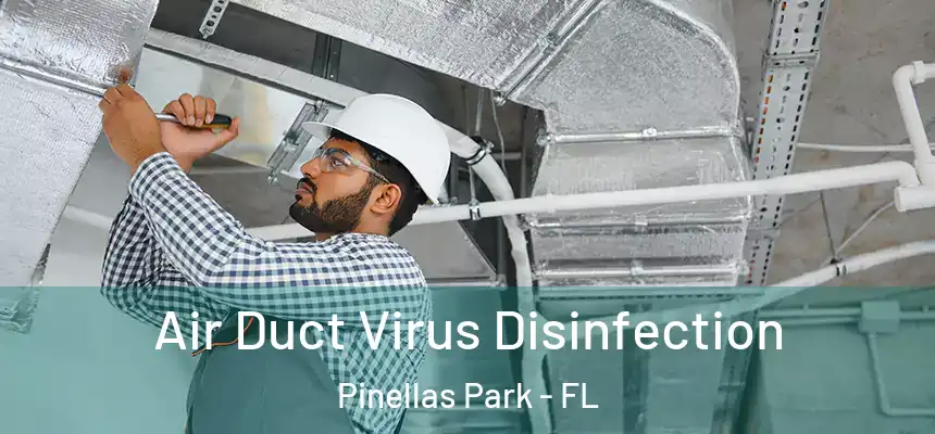  Air Duct Virus Disinfection Pinellas Park - FL