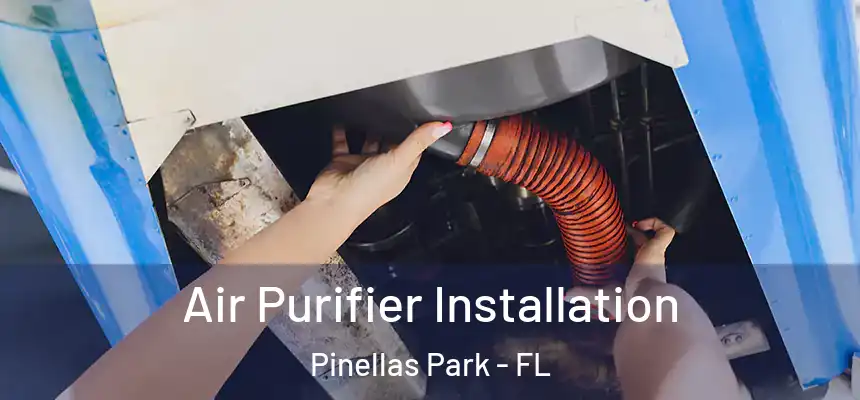 Air Purifier Installation Pinellas Park - FL
