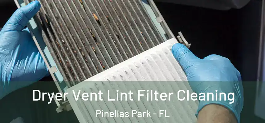  Dryer Vent Lint Filter Cleaning Pinellas Park - FL