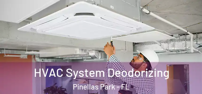  HVAC System Deodorizing Pinellas Park - FL
