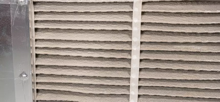 Mobile Car AC Filter Replacement in Pinellas Park