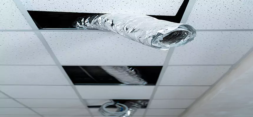 Affordable HVAC Sanitizing After Pest Removal in Pinellas Park
