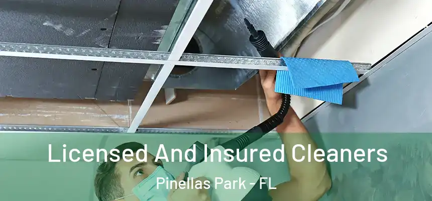 Licensed And Insured Cleaners Pinellas Park - FL