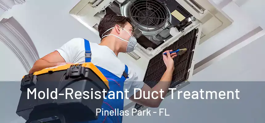 Mold-Resistant Duct Treatment Pinellas Park - FL