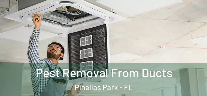 Pest Removal From Ducts Pinellas Park - FL