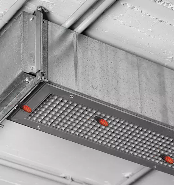 About Air Duct Cockroach Removal in Pinellas Park, FL