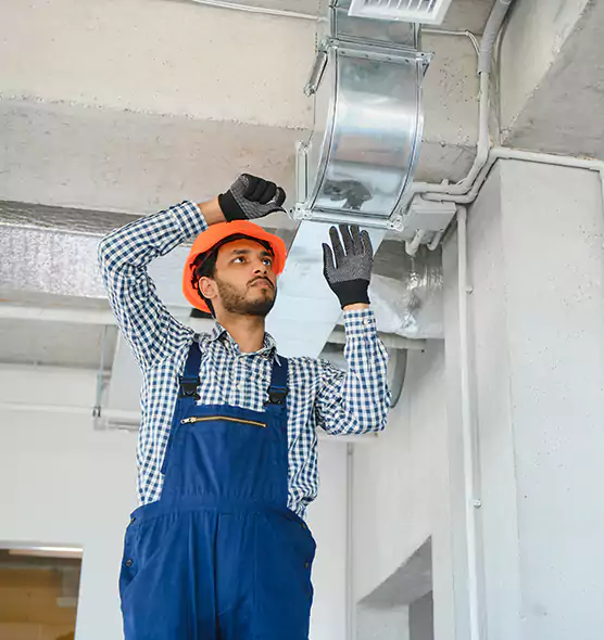 Affordable Lint Buildup Removal in Pinellas Park, FL