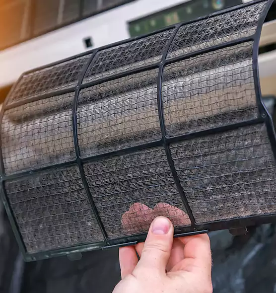 About Pet Dander Duct Cleaning in Pinellas Park, FL